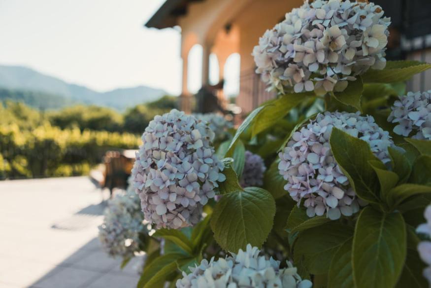 Il Frescale Country House Tramonti Exteriör bild
